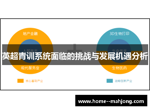 英超青训系统面临的挑战与发展机遇分析