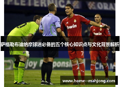 萨格勒布迪纳摩球迷必备的五个核心知识点与文化背景解析